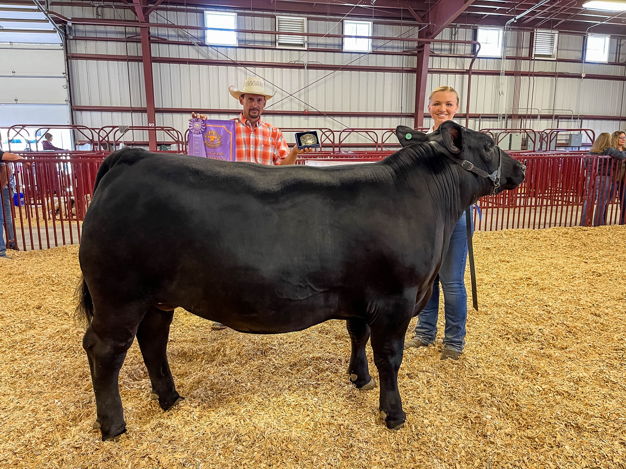 2023 Ventura County Fair Livestock Steer Tagging Ventura County 2023 Ventura County Fair Livestock Steer Tagging Ventura County