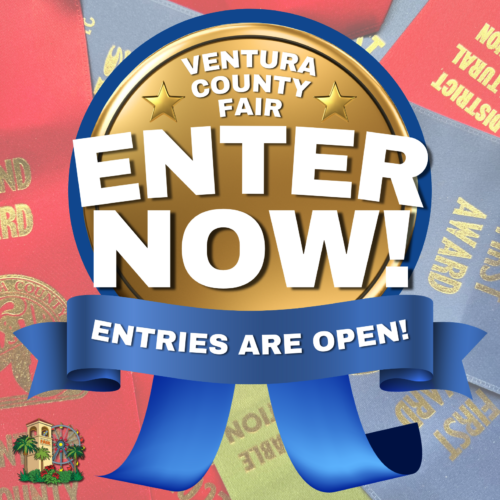 Ventura County Fair Entries are open!
