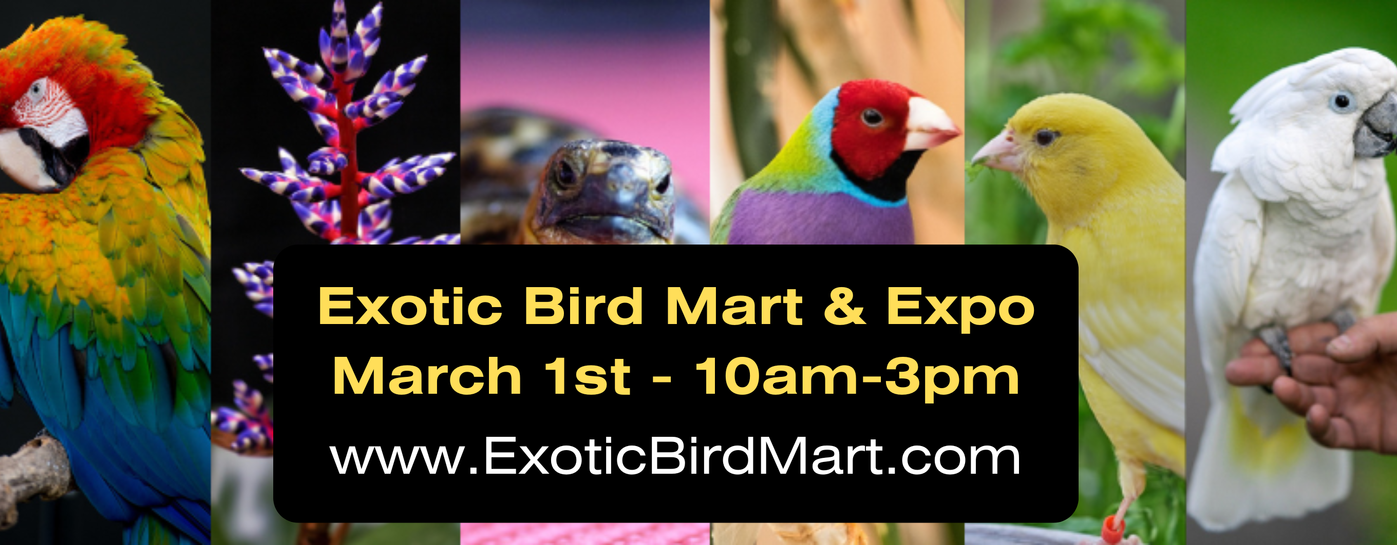 Ventura County Fairgrounds Bird Mart and Expo