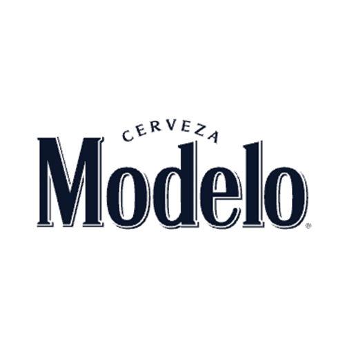 Modelo - Web (2)